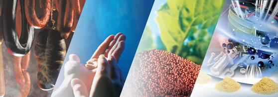 Propriétés de désintégration ou de décomposition idéales avec JRS ARBOCEL