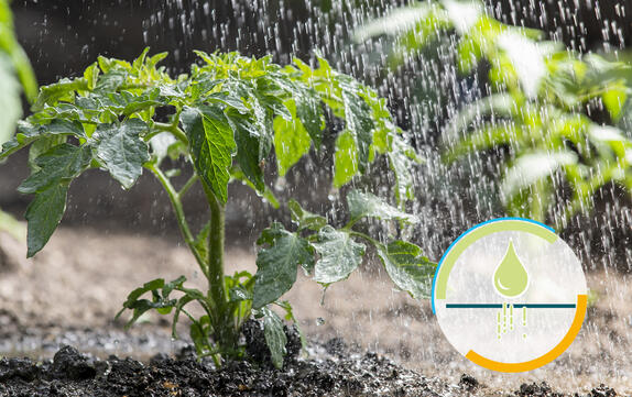 Agent mouillant organique pour substrats tourbeux